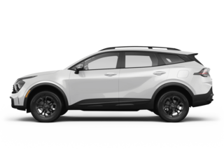 Sportage EX