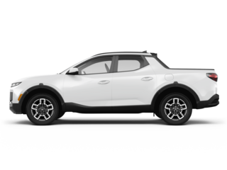 Santa Cruz Limited