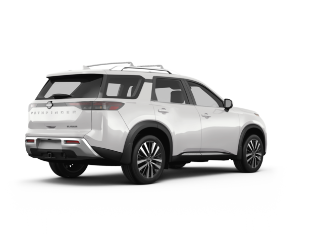 Pathfinder Platinum